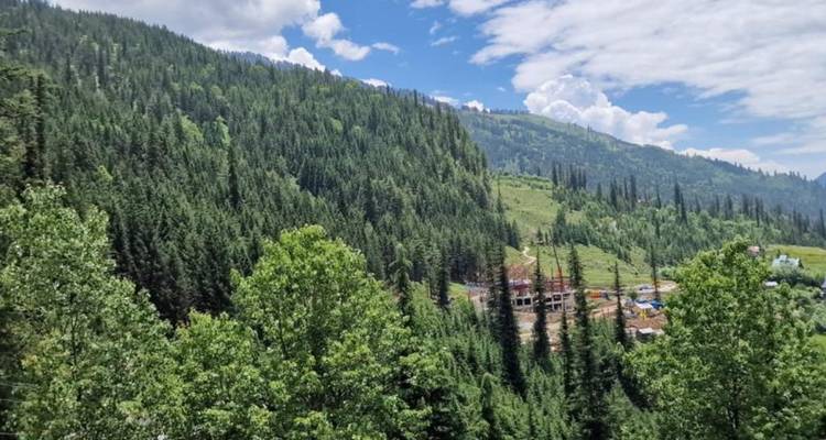 Lush pine-covered slopes and a construction site nestled in a green Himalayan valley.