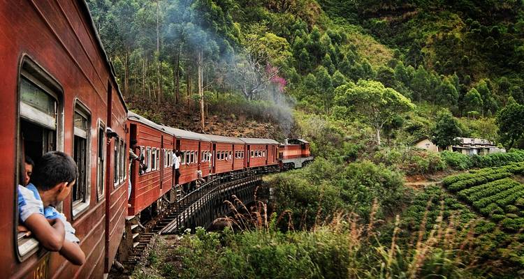 Red train traveling through lush hilly terrain.