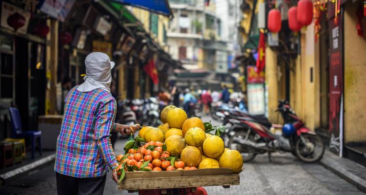 Vietnam en 10 jours - Expériences uniques / Hanoi / Baie d'Halong / Da nang / Hoi an / ho chi minh / delta du mekong - circuit tout inclus - LVP Travel 4