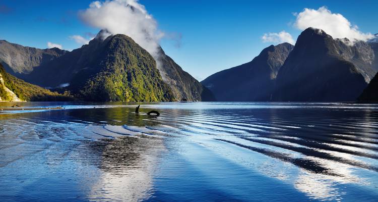 Prachtig landschap van bergen en water in een fjordachtige omgeving onder een heldere blauwe hemel.