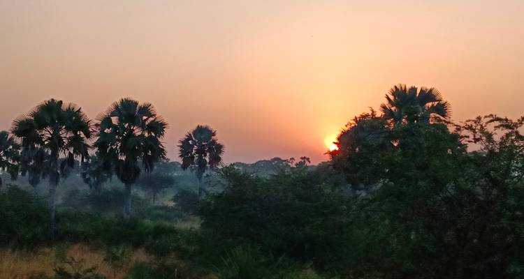 Grand safari en Afrique de l'Est (gorilles et migration) - Holiday Destination Safaris 10