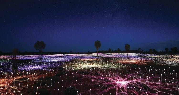Lichtkunstinstallatie verlicht in de nacht.