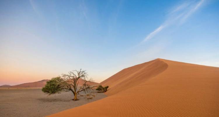 6 Days Etosha, Swakopmund & Sossusvlei (Lodging) - Safari World Tours 2
