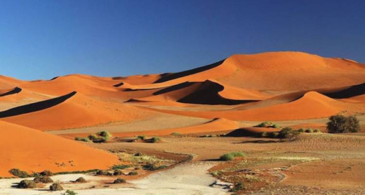 6 Days Etosha, Swakopmund & Sossusvlei (Lodging) - Safari World Tours 3