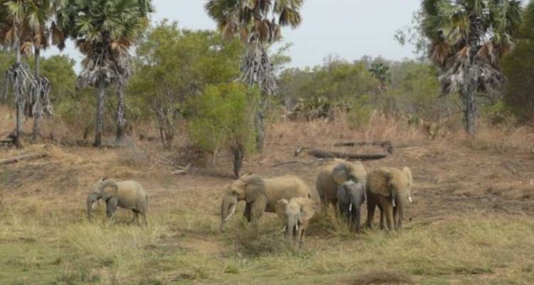 6 Days Etosha, Swakopmund & Sossusvlei (Lodging) - Safari World Tours 4