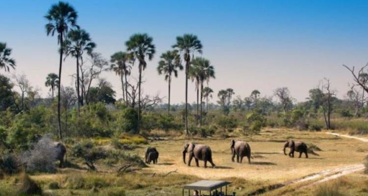 6 Days Etosha, Swakopmund & Sossusvlei (Lodging) - Safari World Tours 6