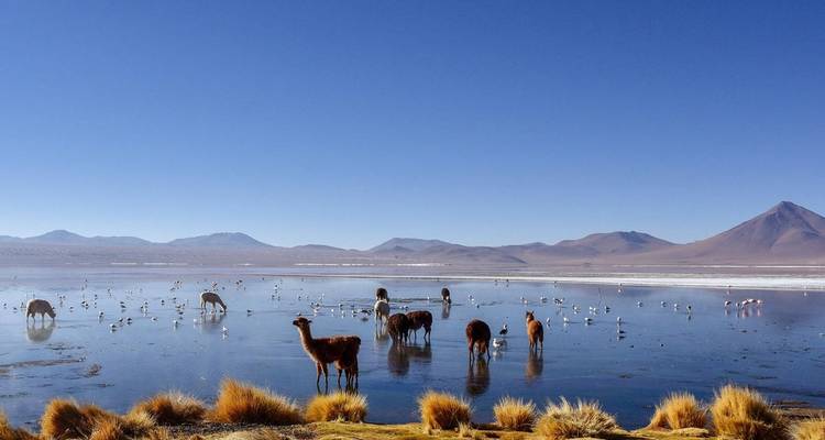 17 Days Magic Triangle of the Andes: Salta, Atacama, Uyuni - Responsible Travel South America 3
