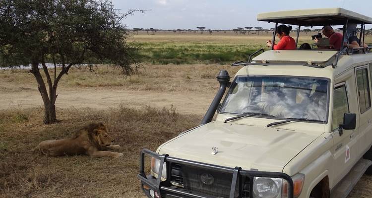 4 Days, 3 Nights Masai Mara and Lake Nakuru Group Joining Safari Using a 4X4 Landcruiser Jeep - Perfect Wilderness Tours And Safaris 4