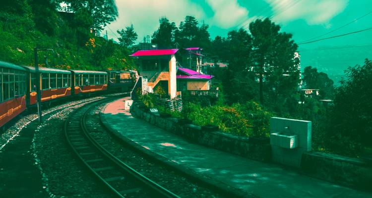 Train coloré se déplaçant à travers une gare entourée de végétation.