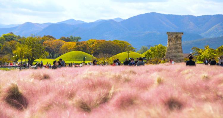 2025 Discover Eastern Korea in 4days: A Curated All-Inclusive Experience - HanaTour ITC 9