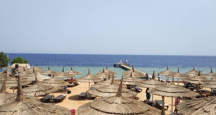 Sharm- El- Sheikh 5 jours / 4 nuits - ETL Travel 6