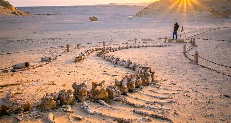 Explorez l'histoire de l'Égypte : Un étonnant circuit culturel de 5 jours - Marko Egypt Tours 1