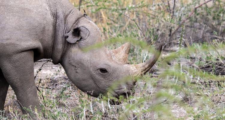 Les saveurs de la Namibie - 7 jours - Départ les lundis et mercredis **Approche durable du voyage - World Adventure Tours 6