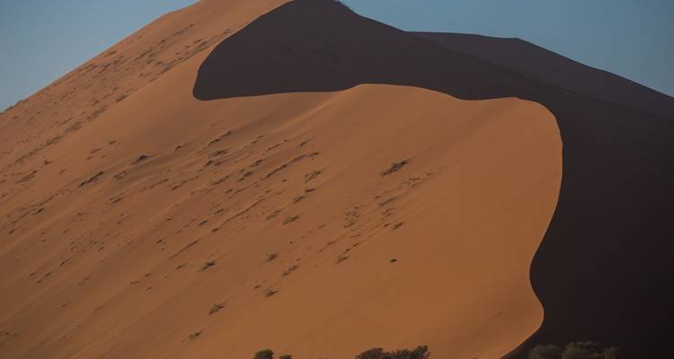 Les saveurs de la Namibie - 7 jours - Départ les lundis et mercredis **Approche durable du voyage - World Adventure Tours 8