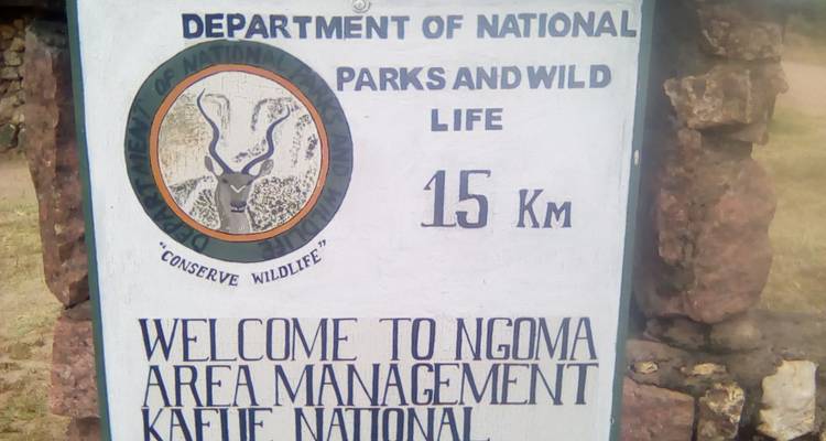 Zambie : Voyage de volontariat avec activités d'aventure et safari dans le parc national de Kafue - 8 jours - Lochinvar Safaris 10