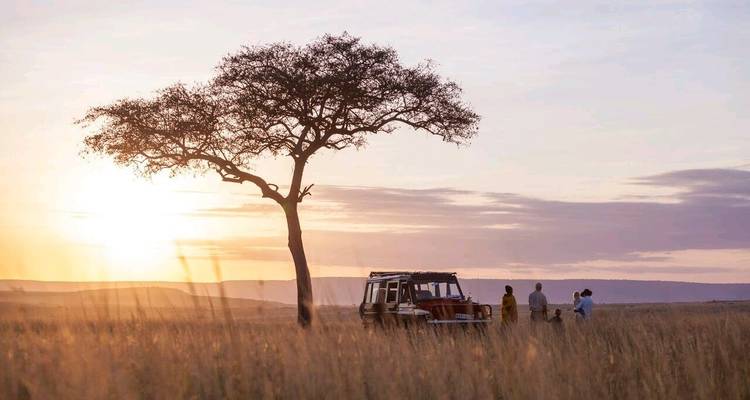 3 jours et 2 nuits de safari en petit groupe - Option Lodge - Perfect Safari Africa tours and safaris 4