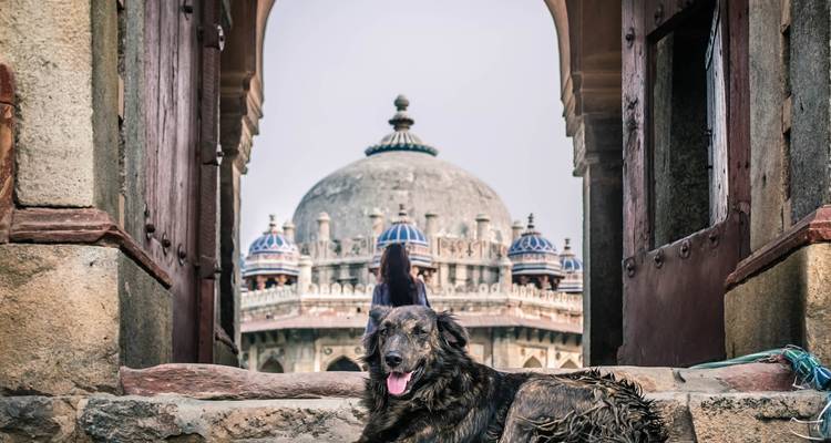 5 cities 8 days tour of India with Taj mahal - Edshil Tours  1