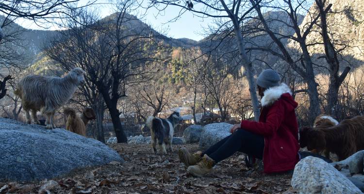 Person, die mit Ziegen in einer bergigen Landschaft sitzt.