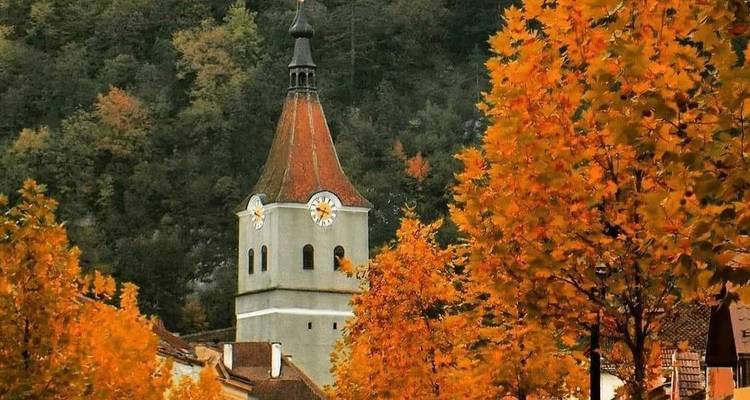 Circuito de un día al Santuario del Oso Pardo, el castillo de Bran y la Fortaleza de Rasnov desde Brasov - Transylvania Discovery Tours 2