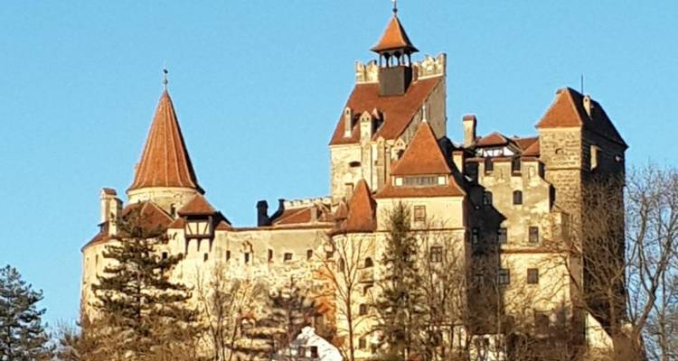 Circuito de un día al Santuario del Oso Pardo, el castillo de Bran y la Fortaleza de Rasnov desde Brasov - Transylvania Discovery Tours 4