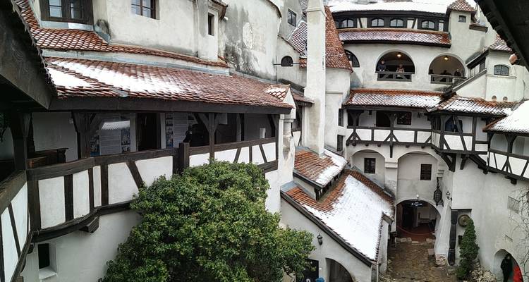 Circuito de un día al Santuario del Oso Pardo, el castillo de Bran y la Fortaleza de Rasnov desde Brasov - Transylvania Discovery Tours 6