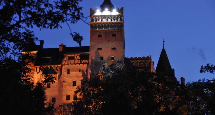 Circuito de un día al Santuario del Oso Pardo, el castillo de Bran y la Fortaleza de Rasnov desde Brasov - Transylvania Discovery Tours 7