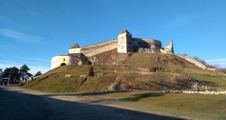 Circuito de un día al Santuario del Oso Pardo, el castillo de Bran y la Fortaleza de Rasnov desde Brasov - Transylvania Discovery Tours 9