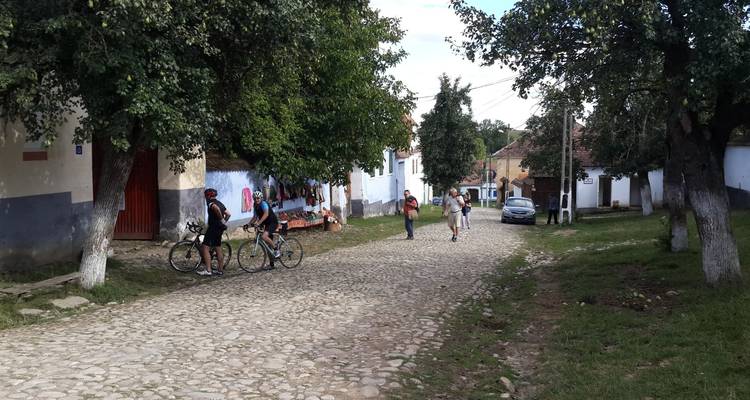 Circuito de un día a Viscri y Sighisoara desde Brasov - Transylvania Discovery Tours 7