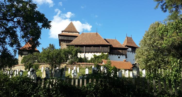 Circuito de un día a Viscri y Sighisoara desde Brasov - Transylvania Discovery Tours 8