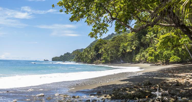 Costa Rica : Un monde de nature avec le parc national de Tortuguero, le volcan Arenal et le parc national de Manuel Antonio - 2024 - Collette 1
