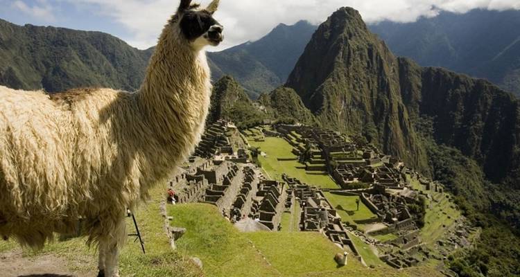 South to Jungle :. Cusco – Tambopata Amazon Jungle 8 days - PVTravels 2