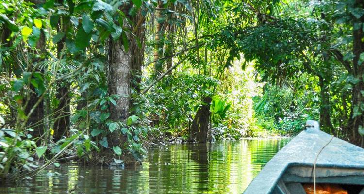 South to Jungle :. Cusco – Tambopata Amazon Jungle 8 days - PVTravels 9