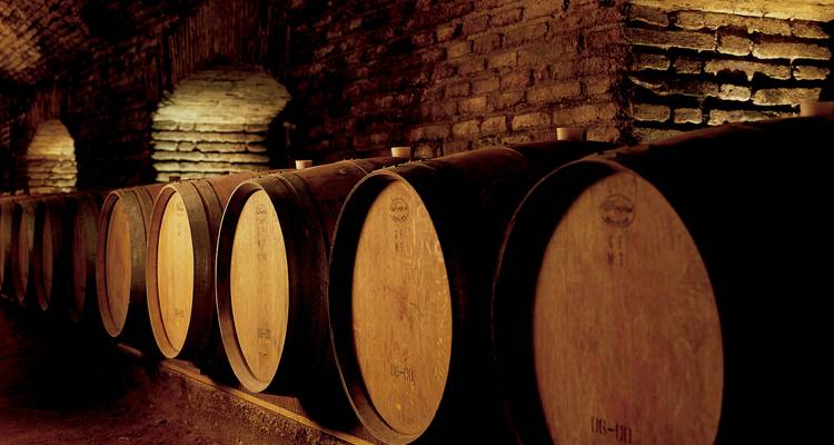 TRIÁNGULO DEL VINO DE AMÉRICA DEL SUR - EUROLATINO Tour Operators 7