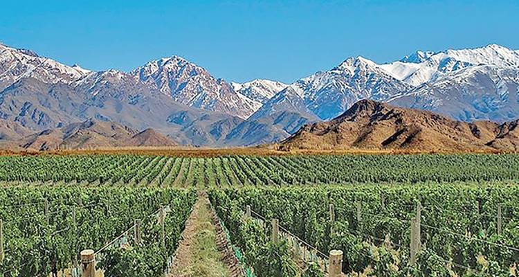 TRIÁNGULO DEL VINO DE AMÉRICA DEL SUR - EUROLATINO Tour Operators 10