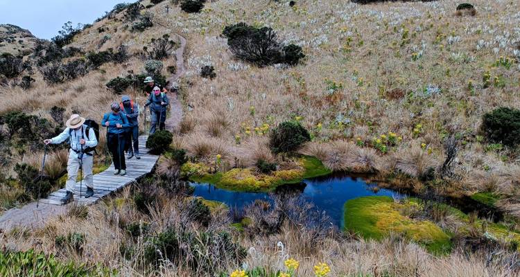 Expedición de lujo de 16 días a Colombia: Amazonas, Andes y Pacífico | Kayak y Trekking | 15 de noviembre de 2024 | Opciones privadas disponibles - Go Wild: American Adventures 10