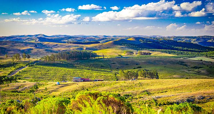 Customized Private Uruguay Family Trip, No Strangers - Agate Travel 2