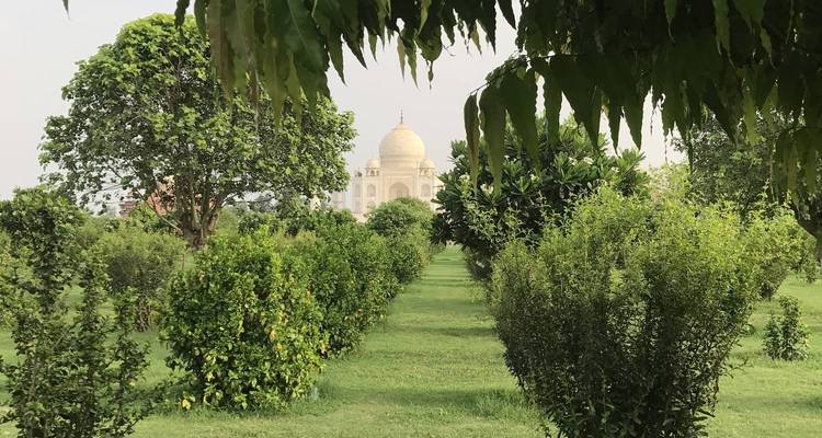 ¡El viaje al triángulo de oro más vendido de la India con todas las comidas y el Taj Mahal al amanecer! -  Taj Voyages Tours  8