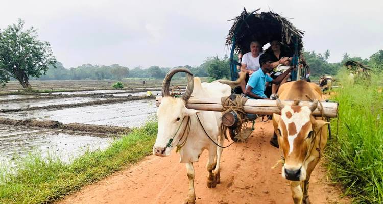 La route du paradis [été] 15 jours - showlanka tours  3