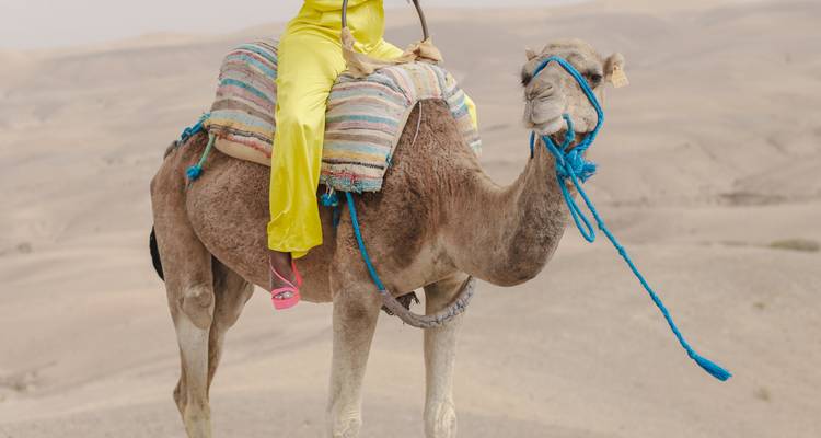 Actividades en Marrakech y el Atlas - Sahara Riders 6