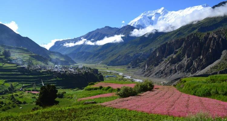 Manaslu Tsum valley excursionismo 17 días - Sherpa Expedition & Trekking Pvt. Ltd. 6