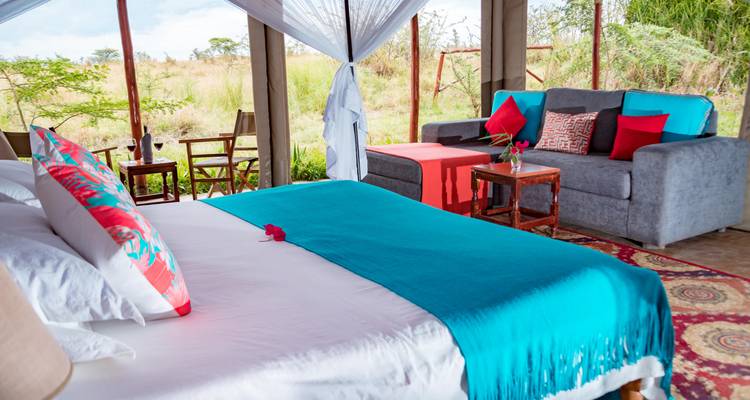 Safari classique au Kenya et en Tanzanie - Faire d'une pierre deux coups**Approche de voyage durable - World Adventure Tours 7