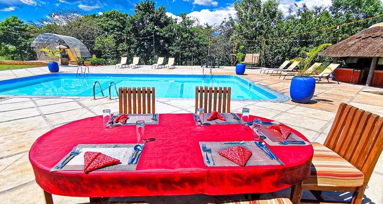 Safari classique au Kenya et en Tanzanie - Faire d'une pierre deux coups**Approche de voyage durable - World Adventure Tours 9