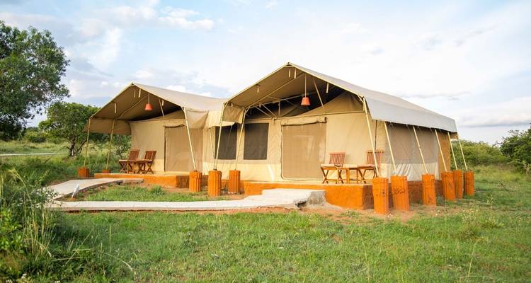 Safari classique au Kenya et en Tanzanie - Faire d'une pierre deux coups**Approche de voyage durable - World Adventure Tours 2