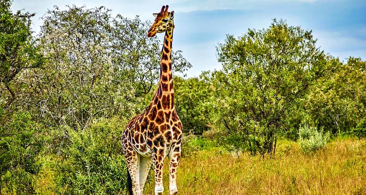 Mejor viaje privado en familia por Angola con cascadas y animales salvajes - Agate Travel 7