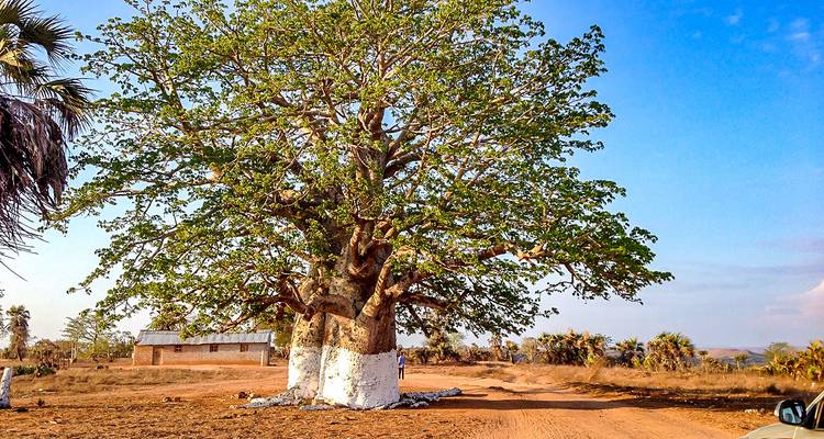 Excursión privada a medida a Luanda y las cataratas de Kalandula, salida diaria - Agate Travel 7