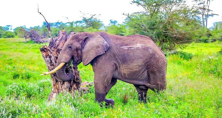 Excursión privada a medida a Luanda y las cataratas de Kalandula, salida diaria - Agate Travel 8