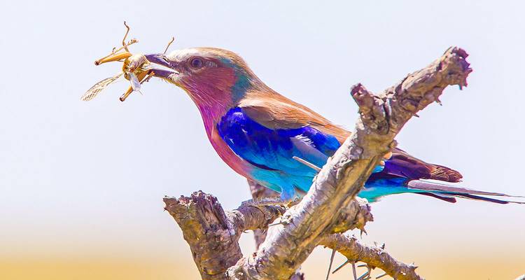 Excursión privada a medida a Luanda y las cataratas de Kalandula, salida diaria - Agate Travel 3
