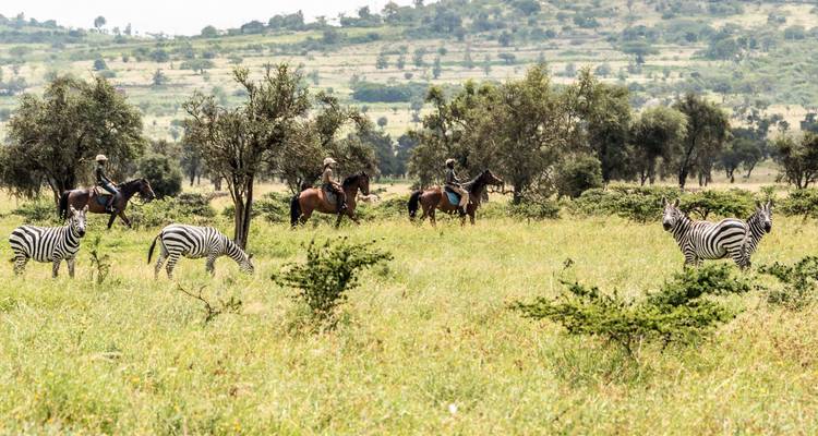 Experiencia de lujo de 15 días en Kenia - Samson's Safaris 3