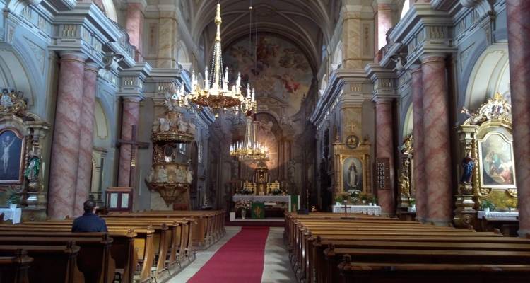 Circuito de un día a las ciudades medievales de Sighisoara y Sibiu desde Brasov - Transylvania Discovery Tours 6
