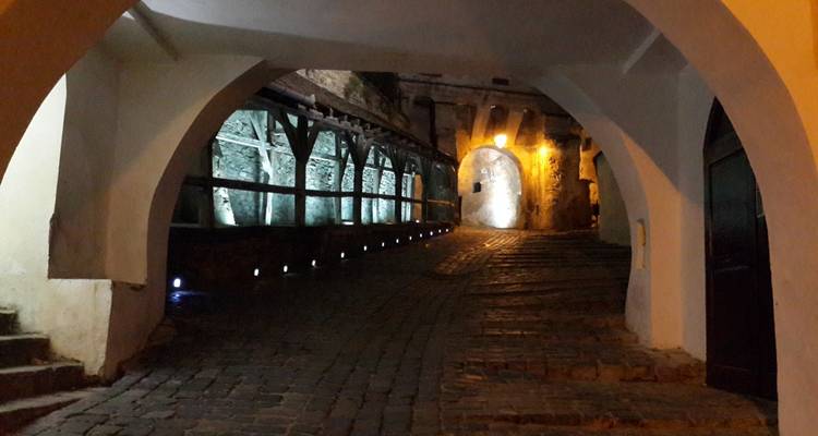 Circuito de un día a las ciudades medievales de Sighisoara y Sibiu desde Brasov - Transylvania Discovery Tours 10